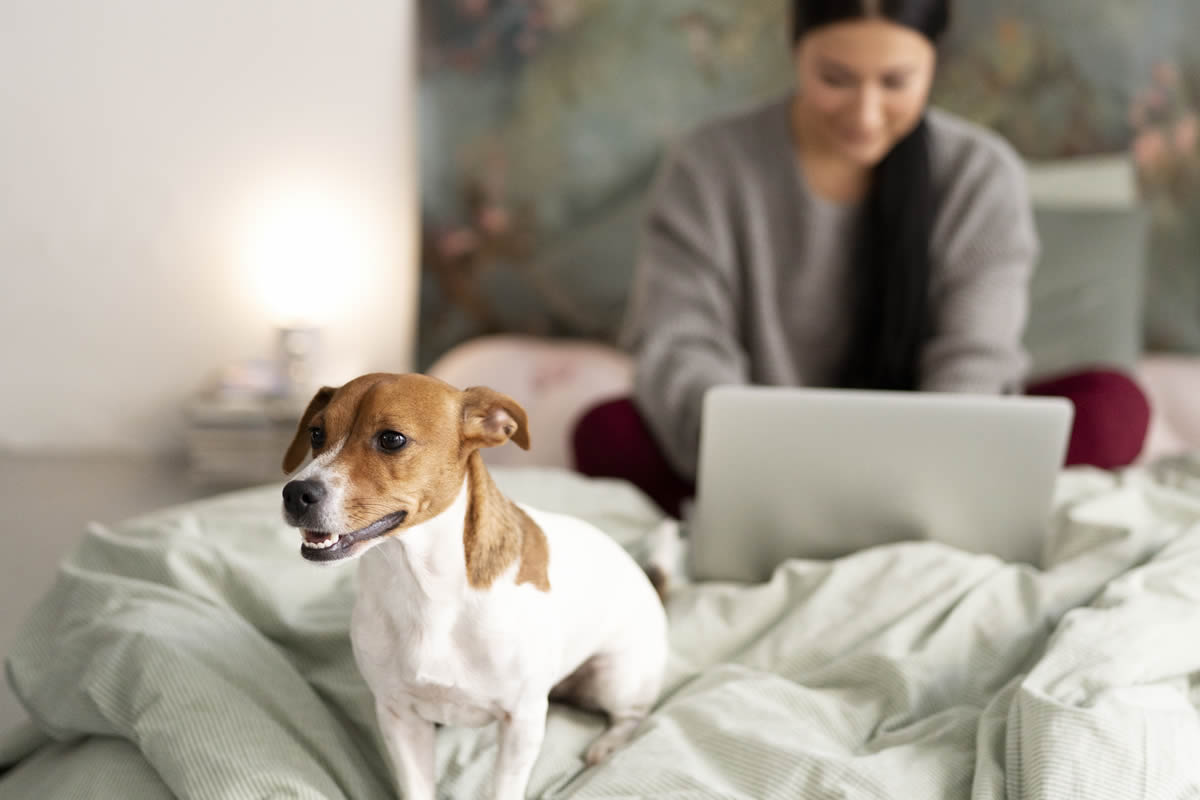 Mit Liebe zu Tieren: Herzlich willkommen mit Haustieren!